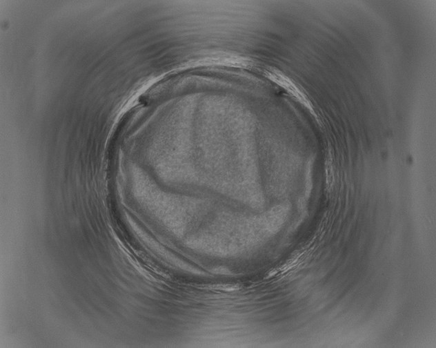 X0000067460436200605051626