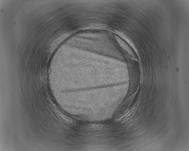 X0000067460437200605051626