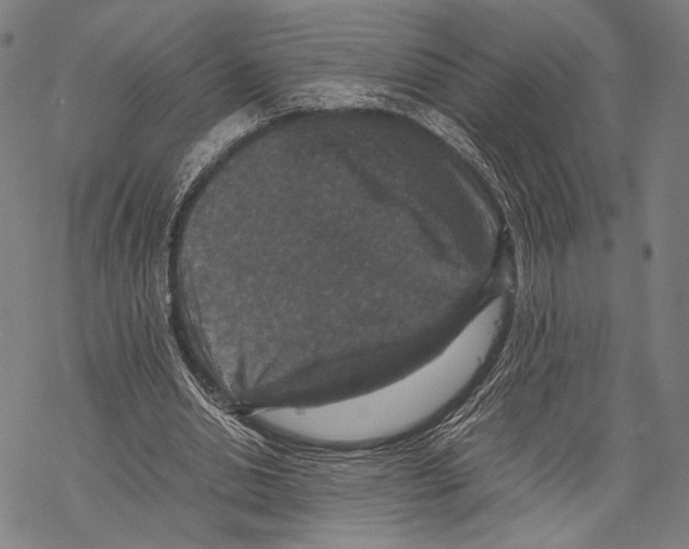 X0000067460438200605051626