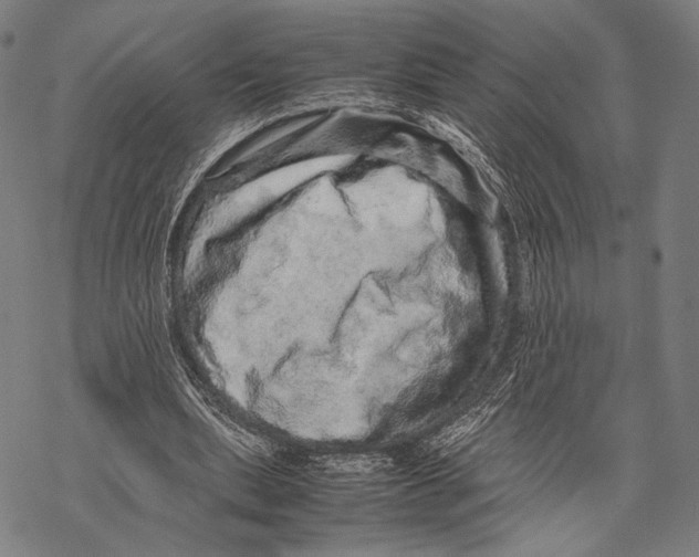 X0000067460439200605051626