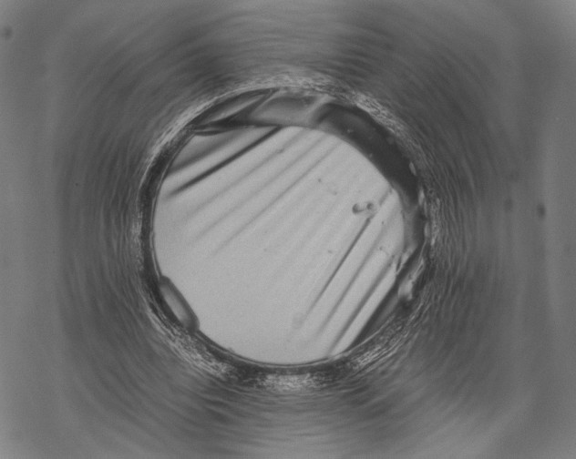 X0000067460440200605051626