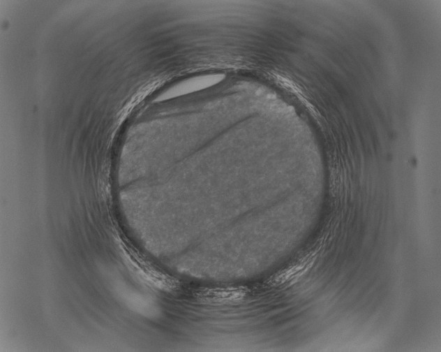 X0000067460443200605051626