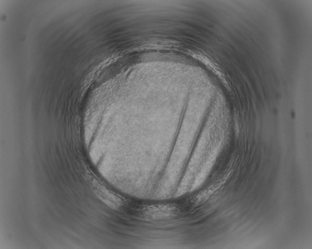 X0000067460445200605051626