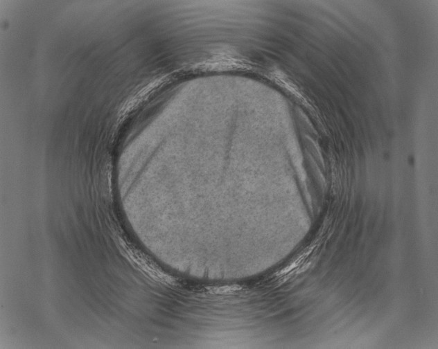 X0000067460446200605051626