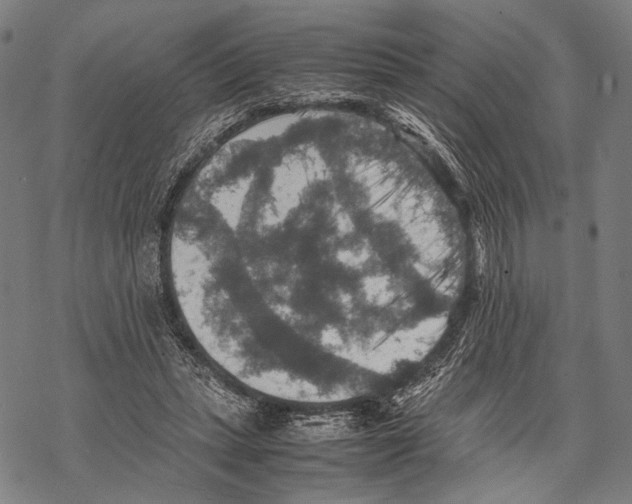 X0000067460447200605051626