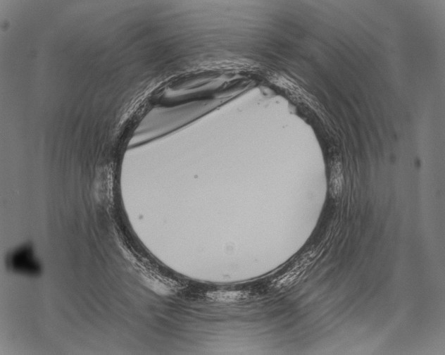 X0000067460448200605051626