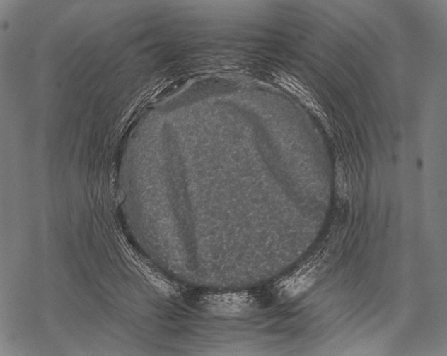 X0000067460449200605051626