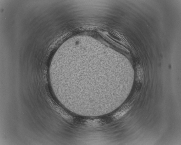 X0000067460450200605051626