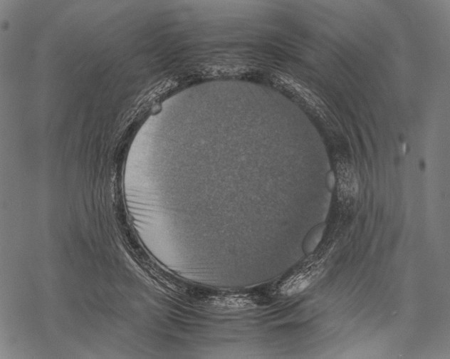 X0000067460451200605051626