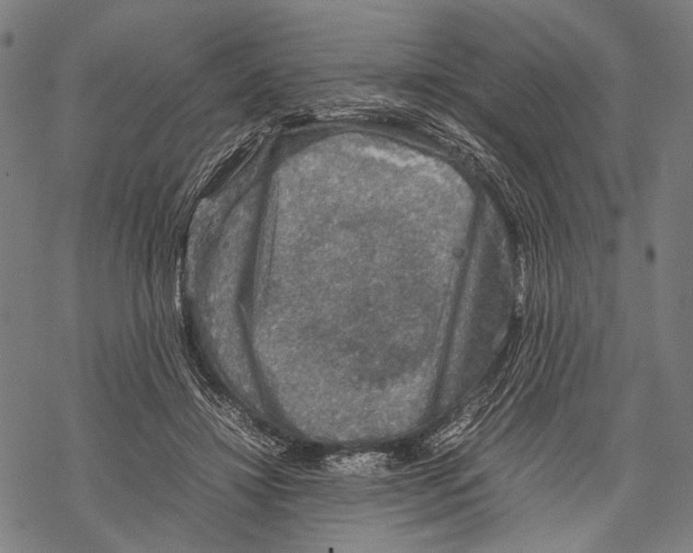 X0000067460452200605051626