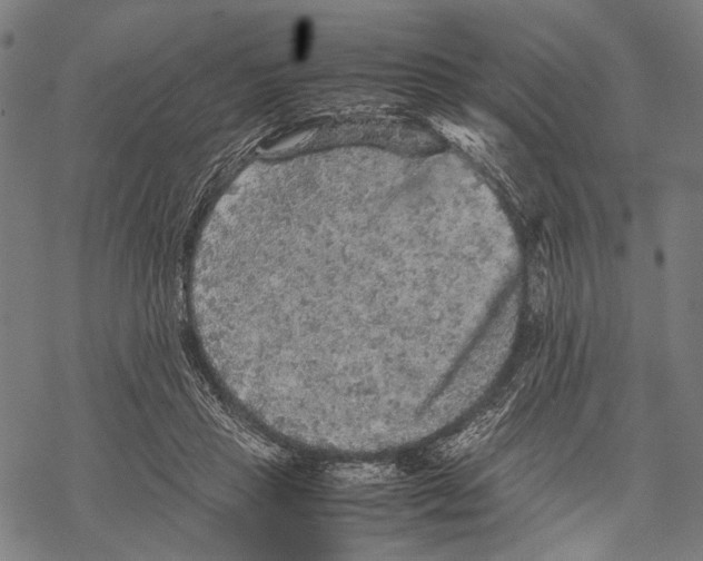 X0000067460453200605051626