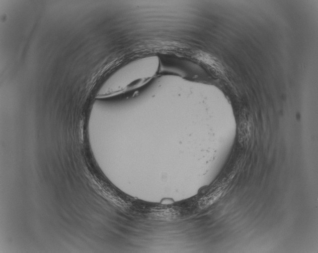 X0000067460454200605051626