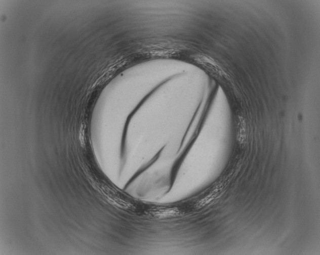 X0000067460456200605051626