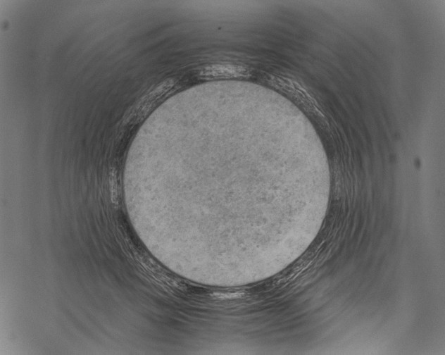 X0000067460457200605051626