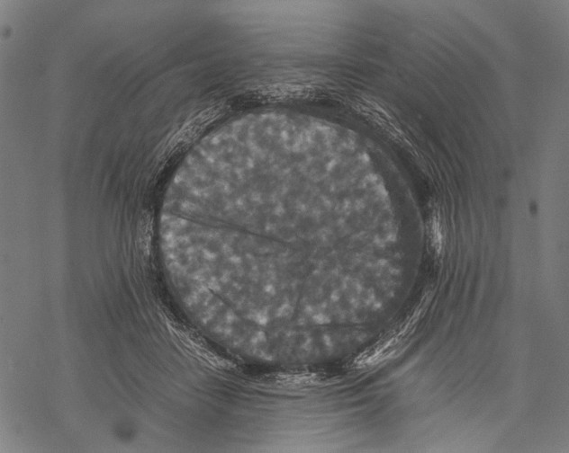 X0000067460458200605051626