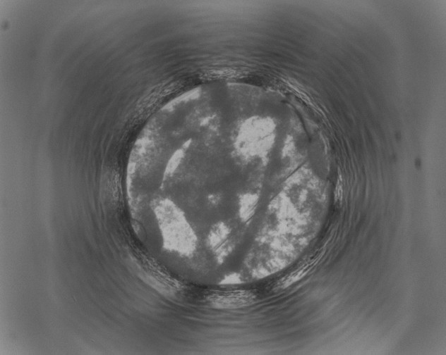 X0000067460459200605051626