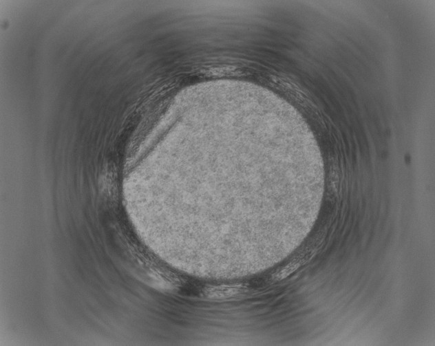 X0000067460461200605051626