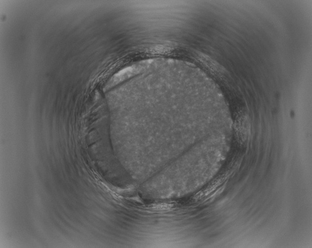 X0000067460462200605051626