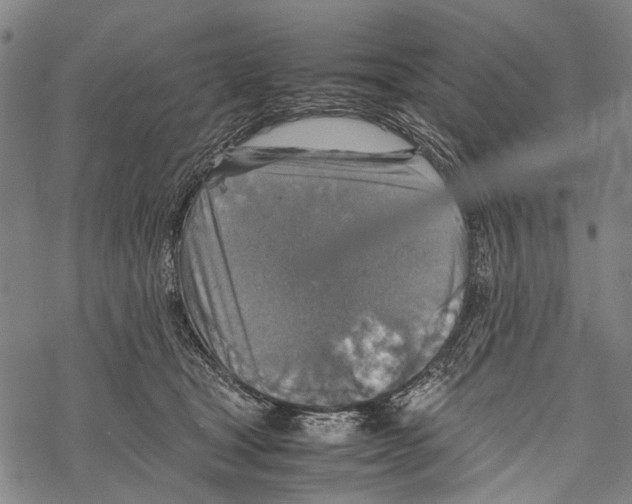 X0000067460465200605051626