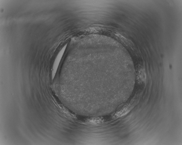 X0000067460466200605051626