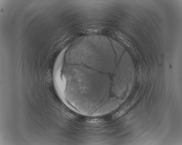 X0000067460467200605051626