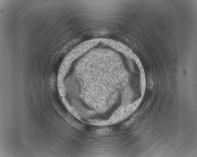 X0000067460468200605051626