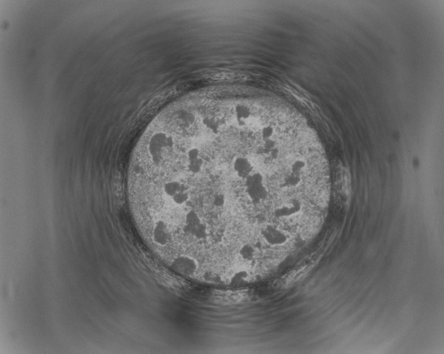 X0000067460469200605051626