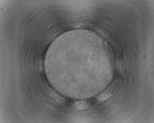 X0000067460470200605051626