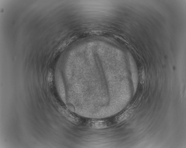 X0000067460472200605051626