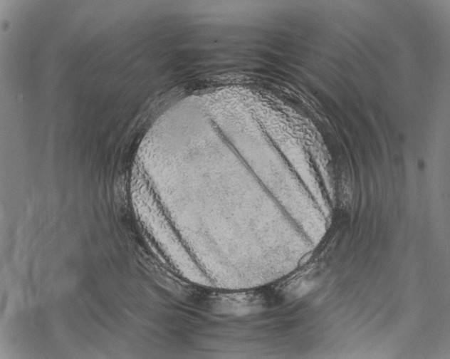 X0000067460473200605051626