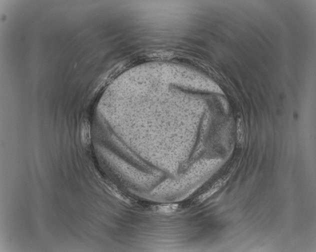 X0000067460474200605051626