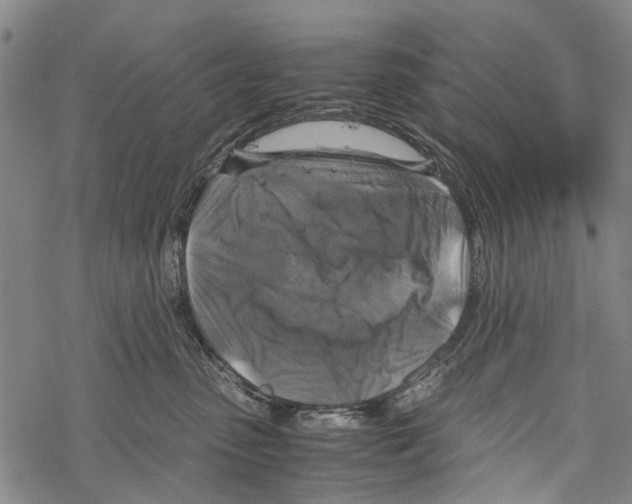 X0000067460475200605051626