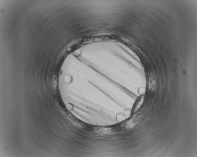 X0000067460476200605051626