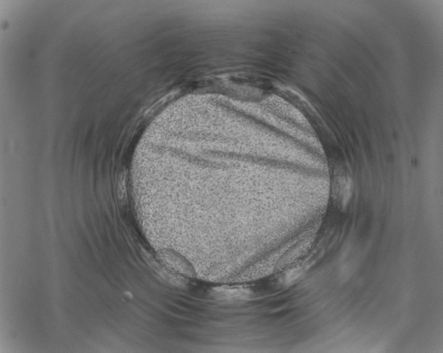 X0000067460477200605051626