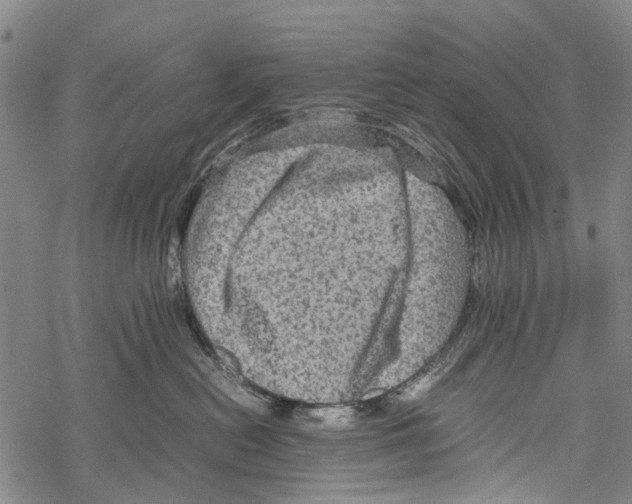 X0000067460478200605051626