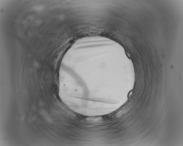 X0000067460480200605051626