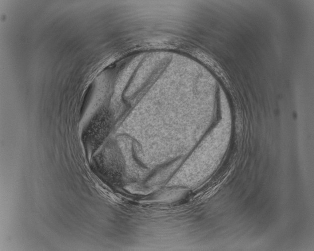 X0000067460481200605051625