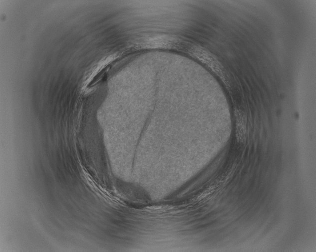 X0000067460482200605051625