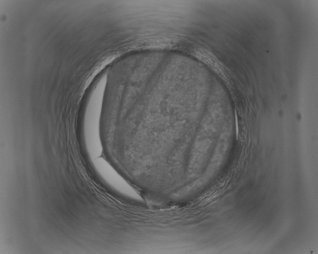 X0000067460483200605051625