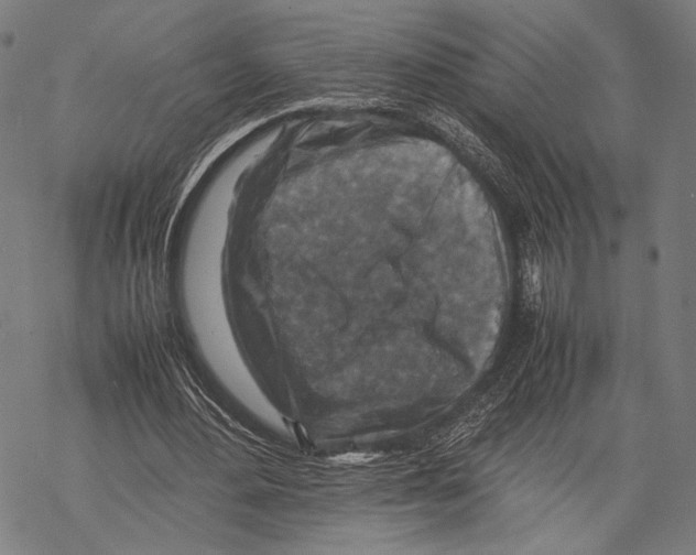 X0000067460484200605051625