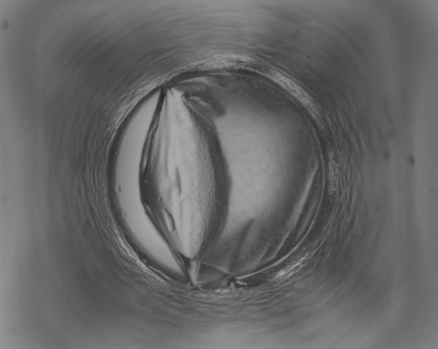 X0000067460485200605051625