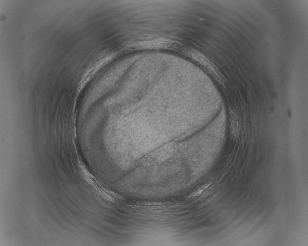 X0000067460486200605051625