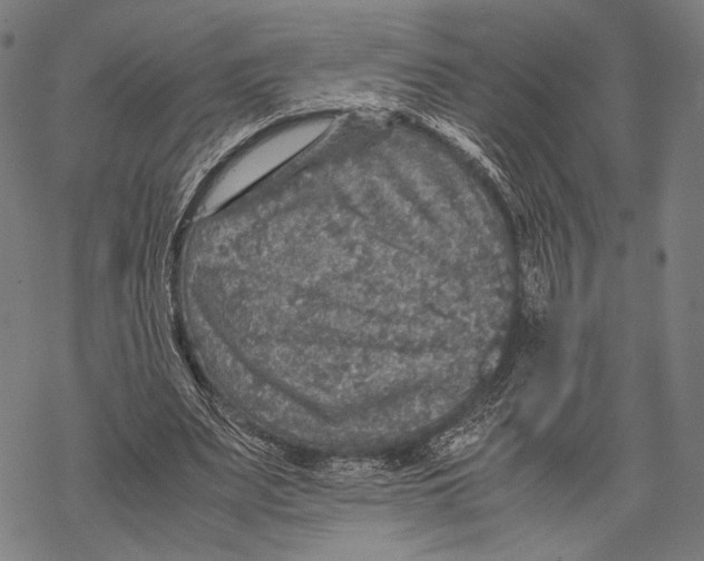 X0000067460487200605051625