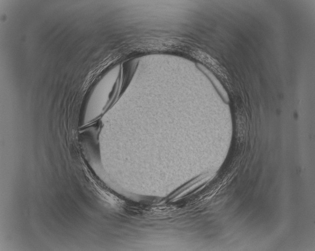 X0000067460489200605051625