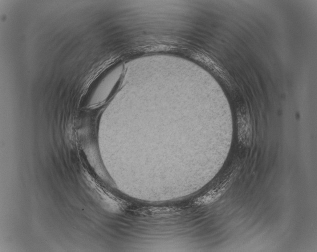 X0000067460490200605051625