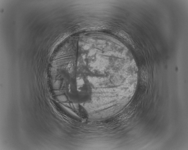 X0000067460491200605051625