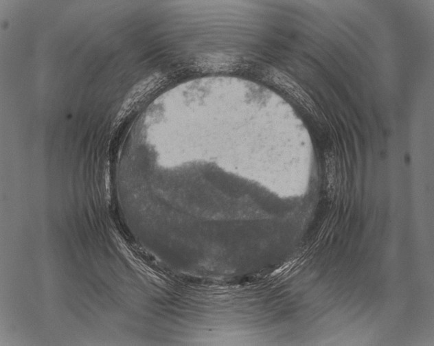 X0000067460494200605051625