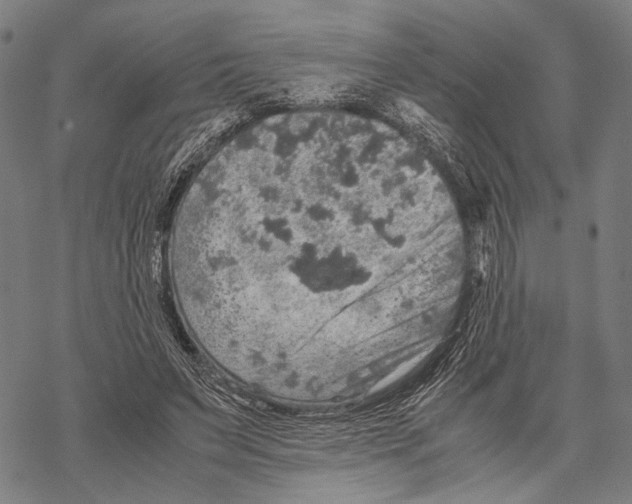 X0000067460495200605051625