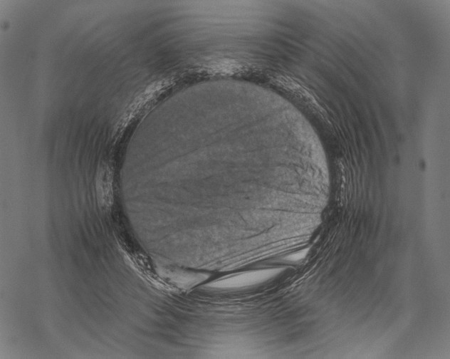 X0000067460496200605051625