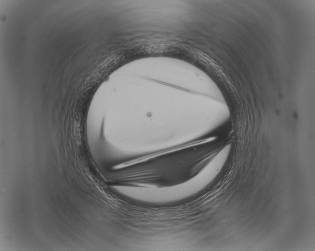 X0000067460497200605051625